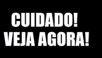 Importador profissional funciona ou é fraude?