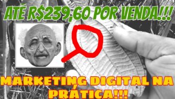 👴R$239,60 por CANELA DE VELHO | Use o Marketing Digital para vender QUALQUER produto SEM SE EXPOR